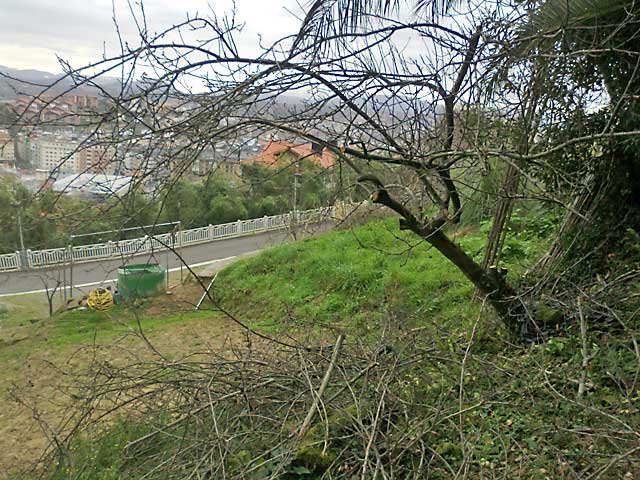 Podando algunos árboles | En la huerta