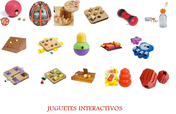 juegos olfativos para perros