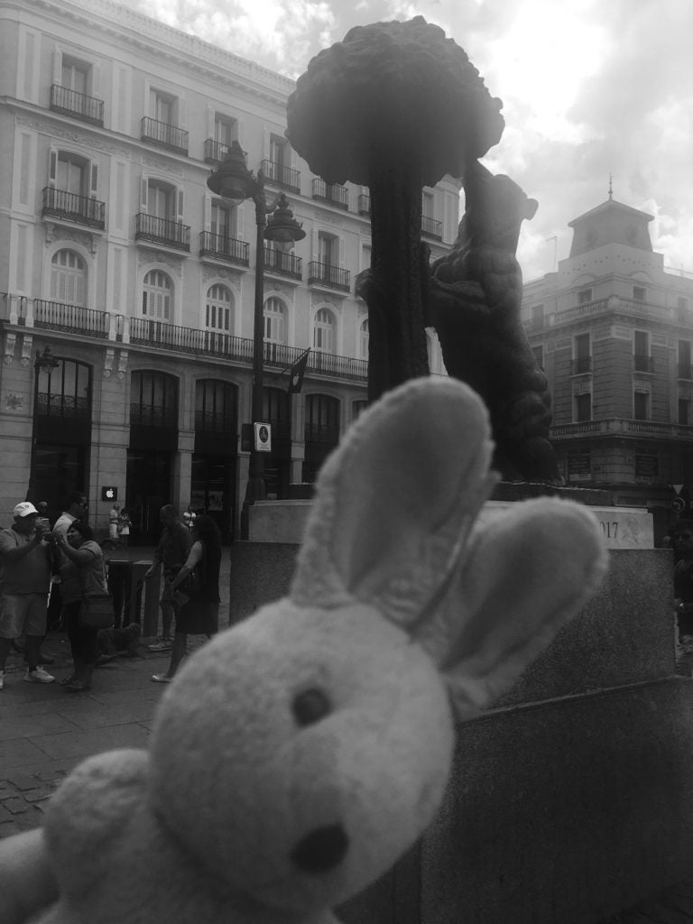 conejito-madrid-plaza-mayor