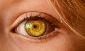 eye-2050738_640