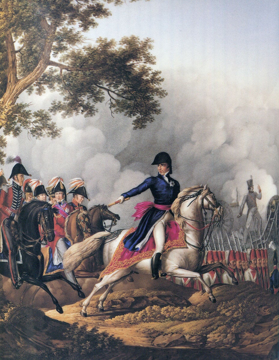 el-largo-viaje-de-lord-wellington-de-vitoria-a-waterloo-dos-a-os-que