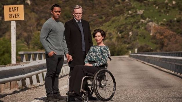 Endangered species of animals. Their one of the most. Their one of the most. Река гудзон мост. Английский текст the smart little bird аудио.