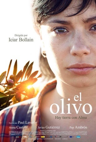 El olivo